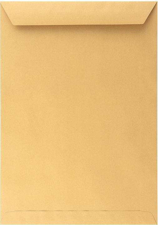 Actual product image Stylex Envelopes DIN C4 brown 10pcs (10 x)