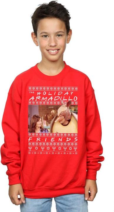 Immagine prodotto Friends Fair Isle Holiday Armadillo Felpa Ragazzi (140, 146)