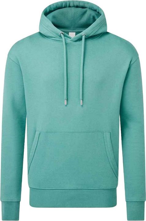 Produktbild Anthem Kapuzenpullover (M)