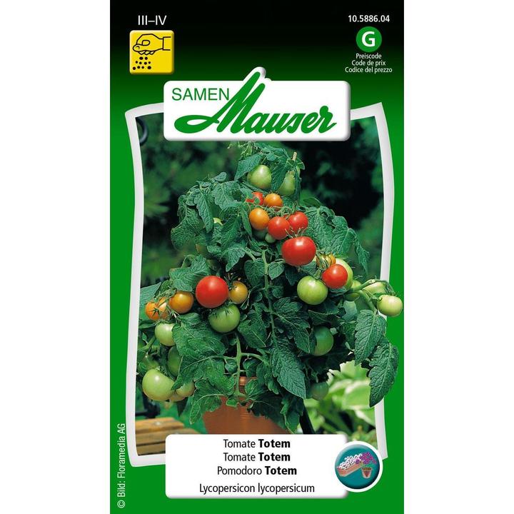 Produktbild Samen Mauser Tomate Totem (Gemüsesamen)