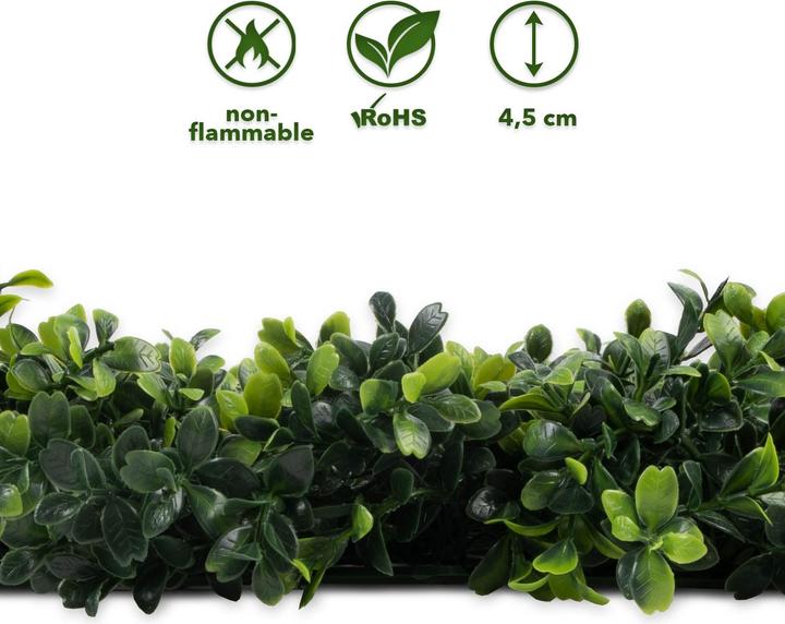 Produktbild Karat Boxwood Pflanzenwand (50 cm)