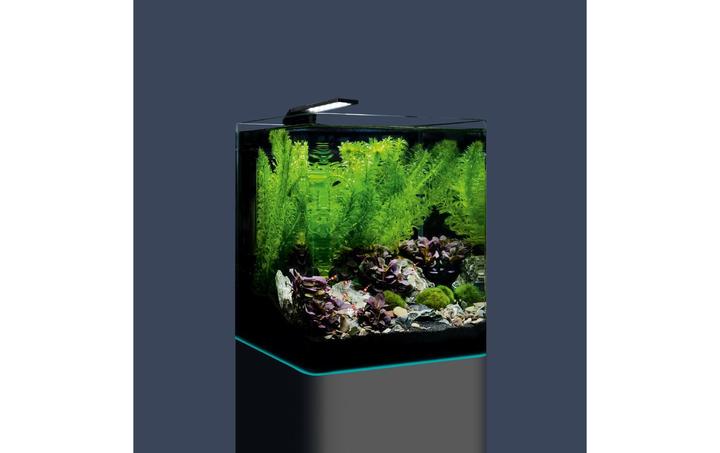 Image du produit Dennerle Aquarium Nano Cube Complete, 20 l (20 l)
