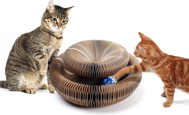 Actual product image Hermex Cat toys (Cat activity toy)