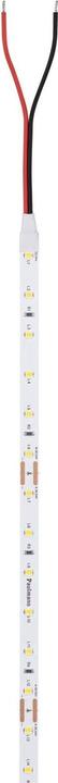 Actual product image Paulmann Pro Strip Silver P25 (Neutral White, 500 cm, Indoor)