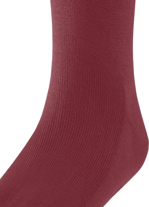 Actual product image Falke Family KH (Single pack, 31 - 34)