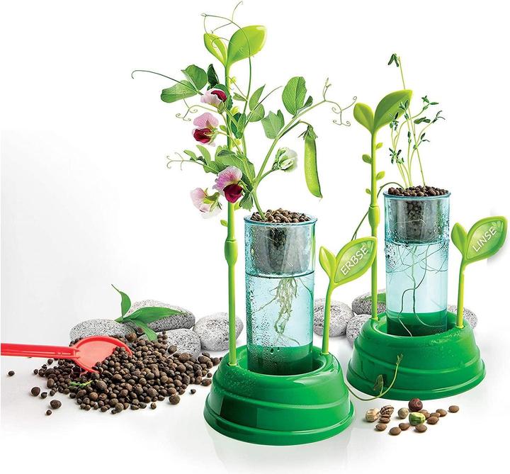 Produktbild Clementoni Botanik und Hydrokultur