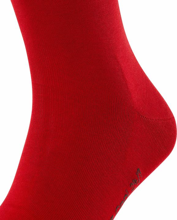 Produktbild Falke Cool 24/7 (Einzelpack, 43 - 44)