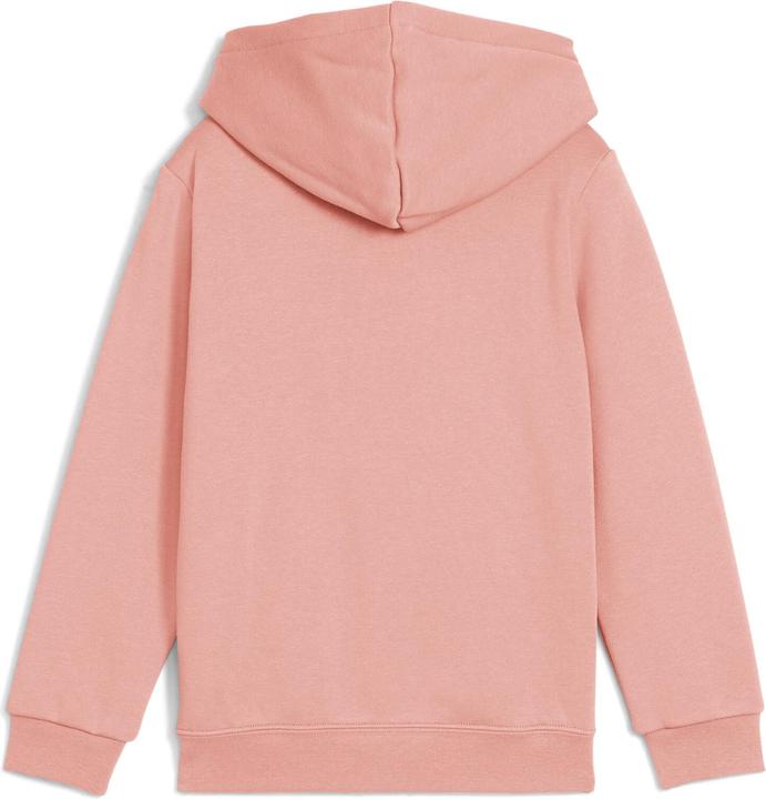 Image du produit Puma Sweat à capuche ESS No. 1 Logo FL PS (122)