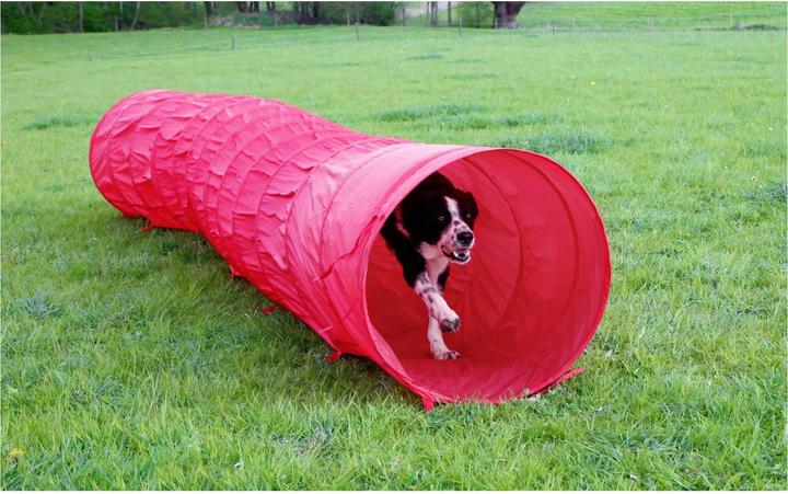 Immagine prodotto Kerbl Tunnel per cani