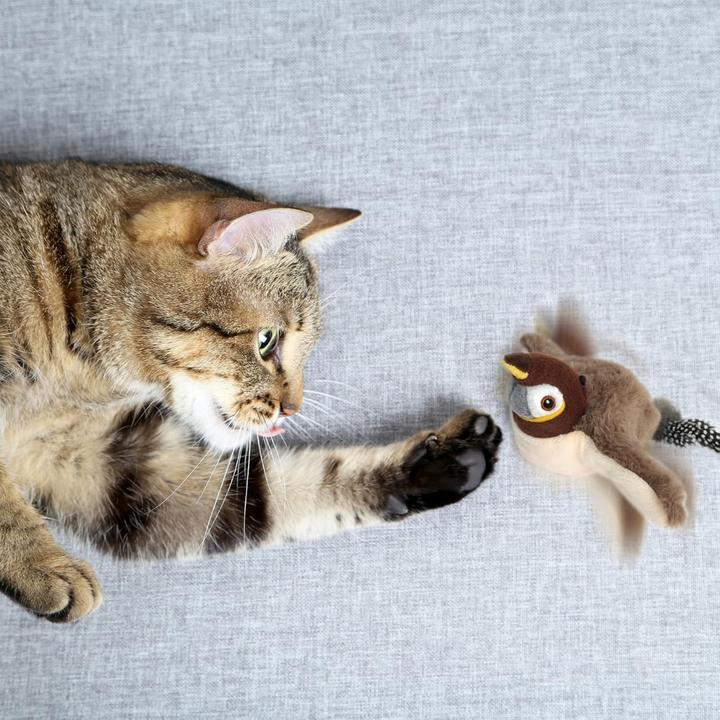 Produktbild Suba Elektrisches Vogelspielzeug (Katzenminzespielzeug)