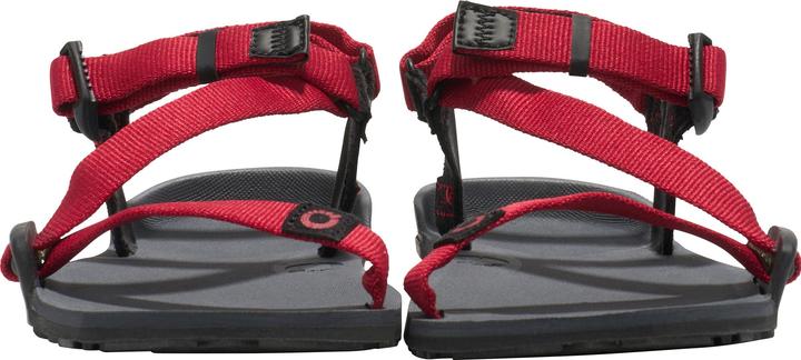Image du produit Xero Shoes Z-Trail (31)
