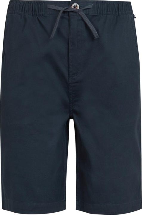 Regatta Aldan Shorts