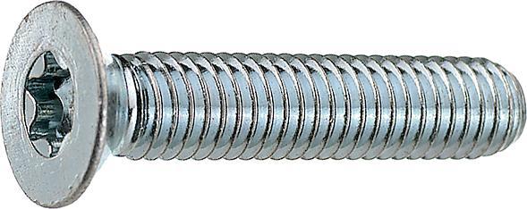 Immagine prodotto Bossard Vite, testa piatta, Torx, T10, M3, 6mm, confezione da 100 pezzi (100 Viti per pezzo)