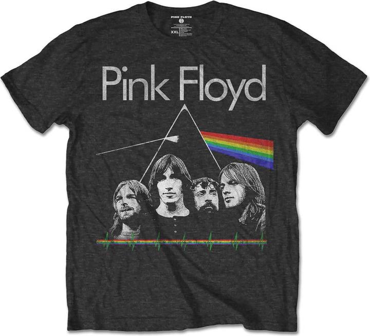 Pink Floyd DSOTM Band & Pulse