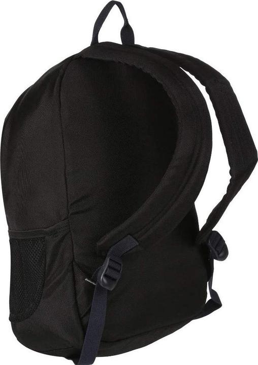 Actual product image Regatta Jaxon III backpack (10 litres) (10 l)