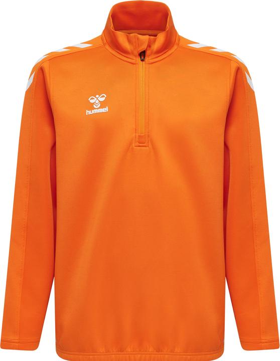 Tigre orange