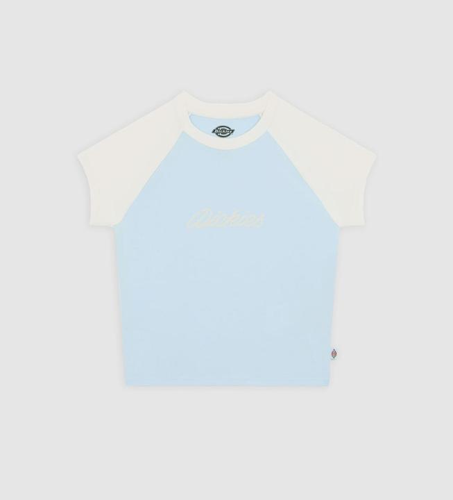 Actual product image Dickies Rope Ss Tee W Skyway (M)