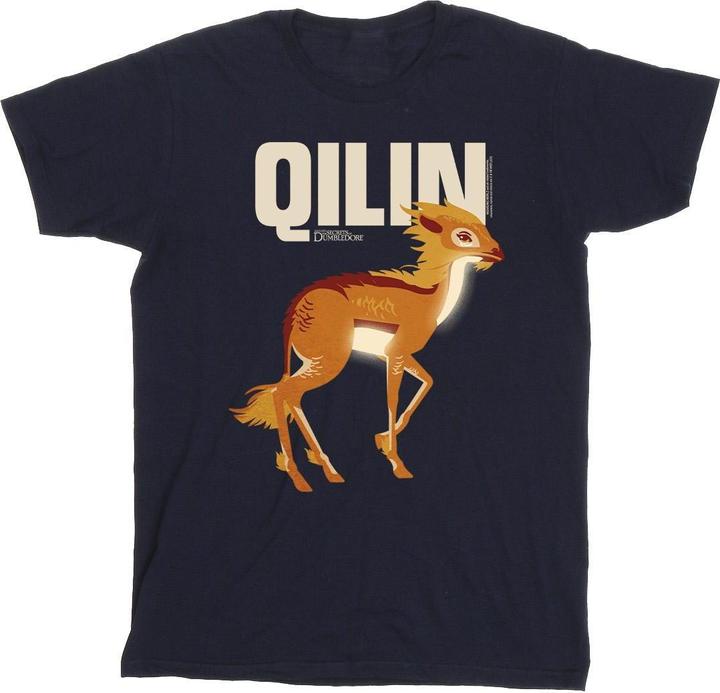 Image du produit Fantastic Beasts - T-shirt QILIN CHARACTER - Garçon (128)