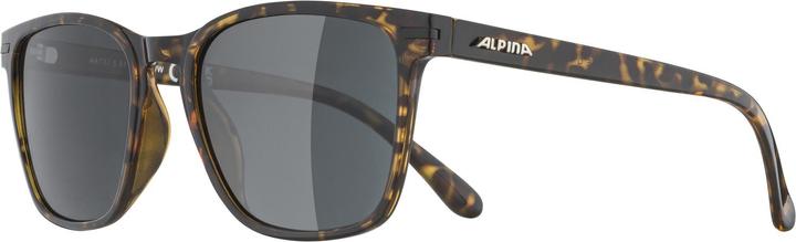 Immagine prodotto ALPINA SPORTS Yefe Pol