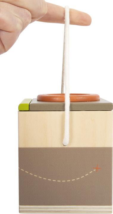 Actual product image small foot Insect Box "Discover