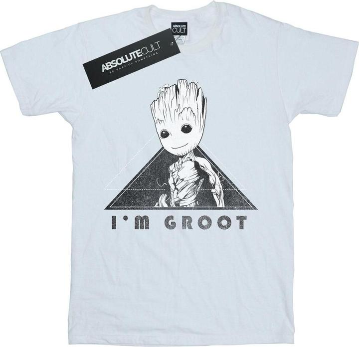Image du produit - T-shirt GUARDIANS OF THE GALAXY VOL. GROOT MONO TRIANGLE - Homme (3XL)