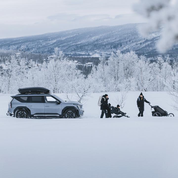 Produktbild Thule Motion 3 XL (500 l)