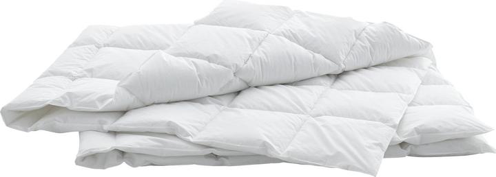 Image du produit Billerbeck Edition Thea Clima Superlight (360 g, 200 x 210 cm)