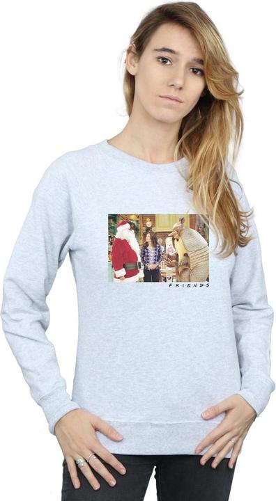 Produktbild Friends The Holiday Armadillo Sweatshirt (L)