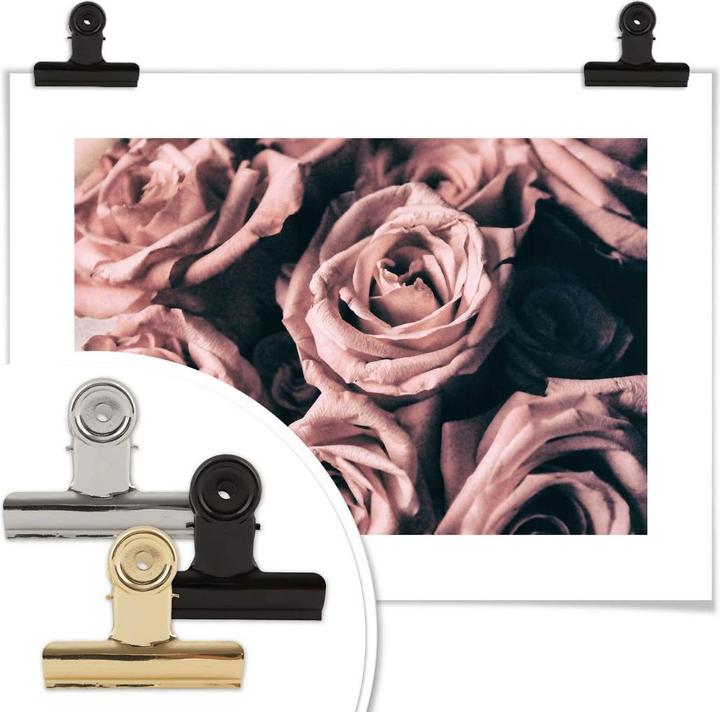 Image du produit Trenddeko Roses roses de style Vintagestyle (30 x 24 cm)