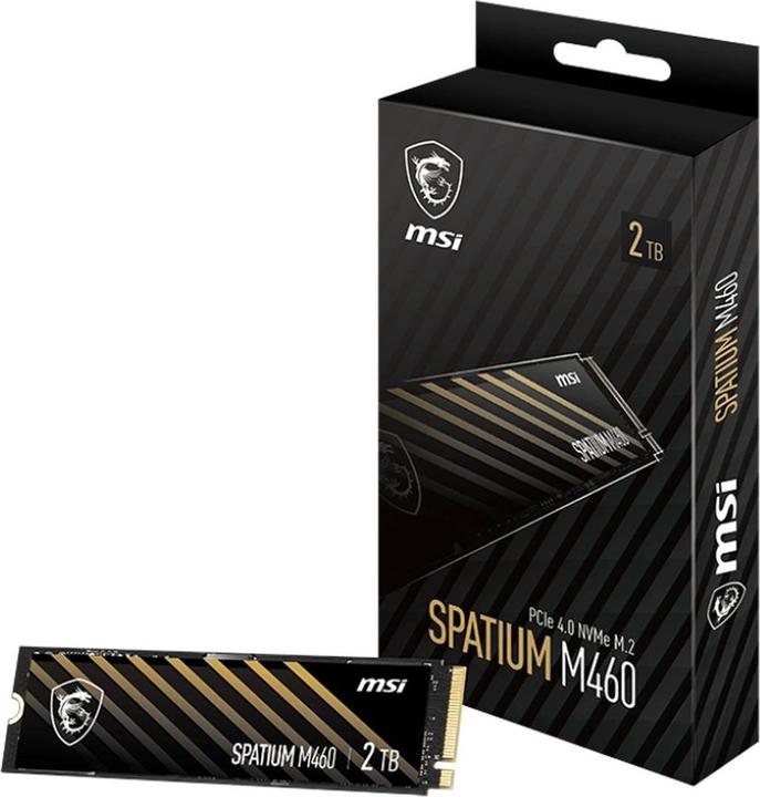Actual product image MSI Spatium M460 (1000 GB, M.2 2280)