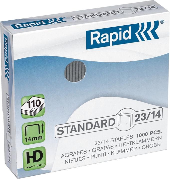 Rapid Standard (1 x)