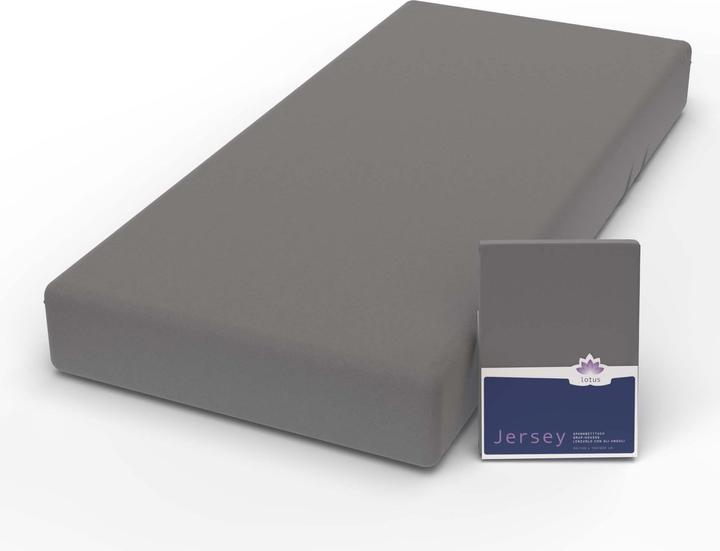 Image du produit Lotus Bettwaren Jersey Fix Comfort (180 x 200 cm)