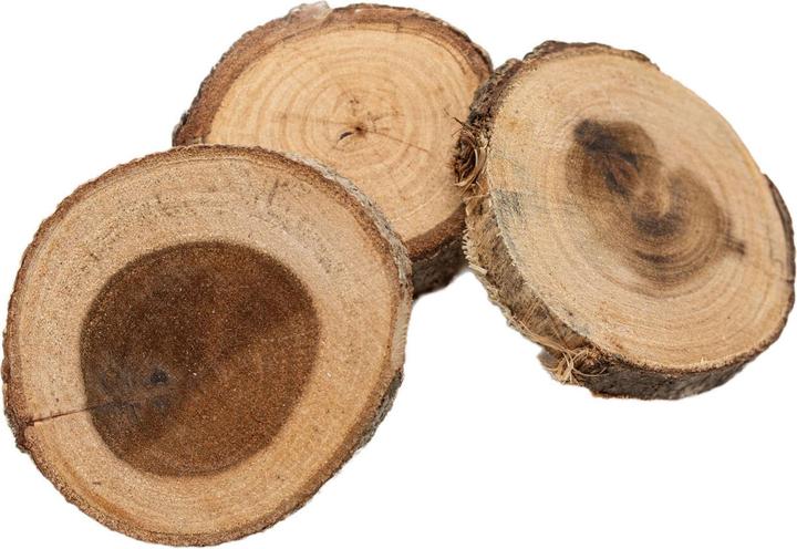 Produktbild Colorations Färbungen – Unbearbeitete Holzscheiben 8–10 cm, 12 Stück.