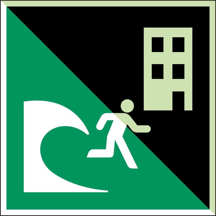 Actual product image Brady ISO safety sign - Tsunami evacuation building