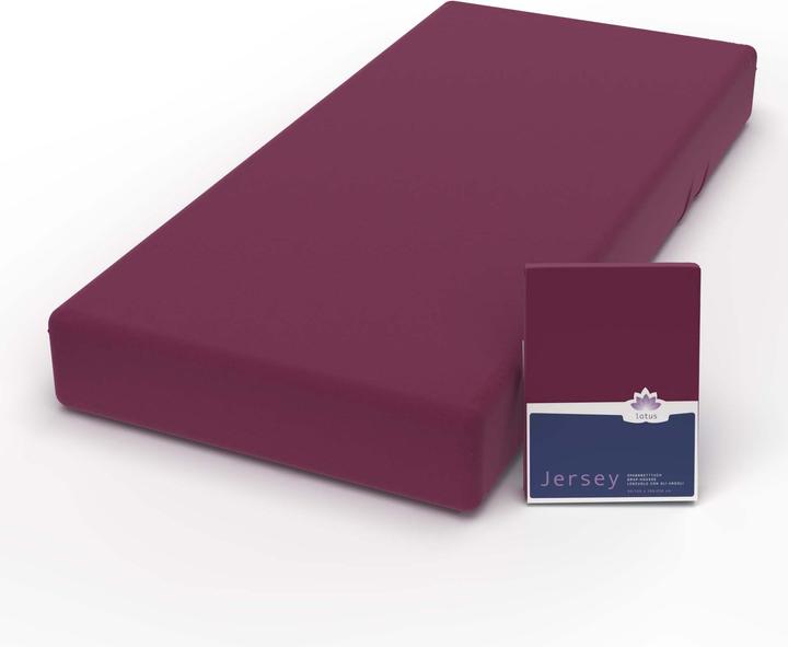 Actual product image Lotus Bettwaren Jersey Fix Comfort (180 x 200 cm)