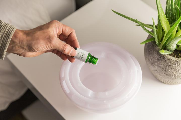Image du produit Duux Sphère (25 m²)
