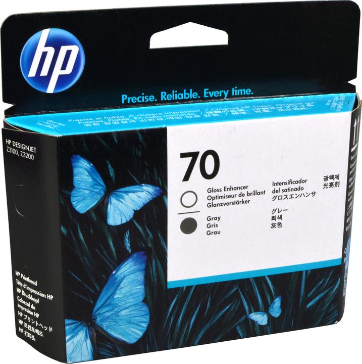 Actual product image HP 70 (GY)