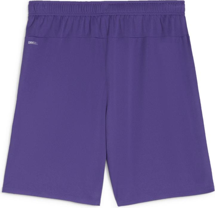 Actual product image Puma teamGOAL shorts (XXL)