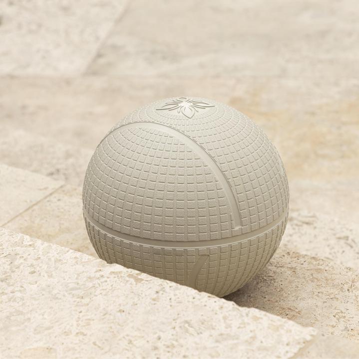 Actual product image Omnana ORBIT medicine ball (2 kg, 230 mm)