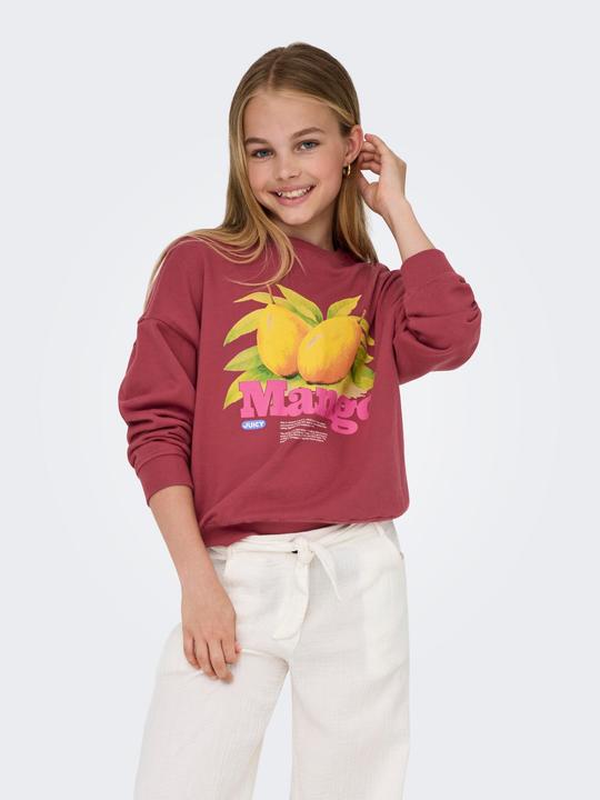 Produktbild Only KOGPHILEA Sweatshirt Sweatshirt (146)