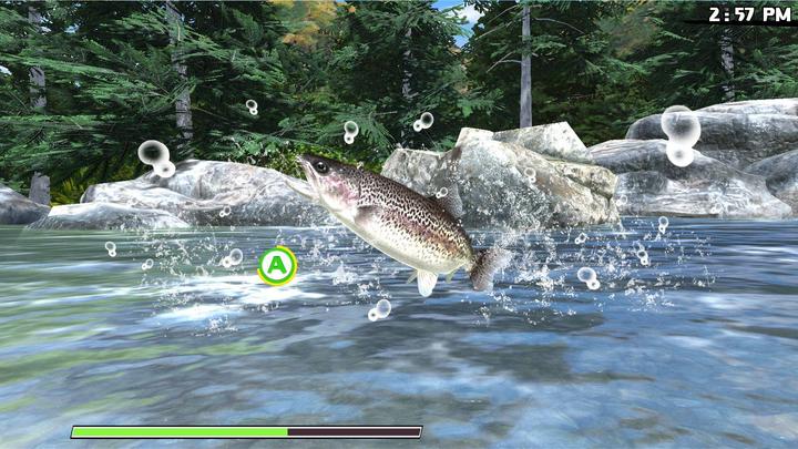 Immagine prodotto Natsume Reel Fishing: Road Trip Adventure (import) (PS4, EN, FR)