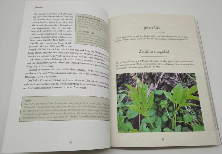 Produktbild Meine Wildkräuter (Deutsch, Martina Fischer, Dorothea Steinbacher, 2023)
