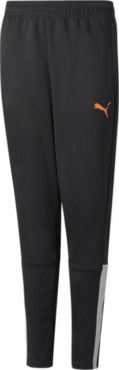 Actual product image Puma teamLIGA Training Pants Jr-657243 (176)