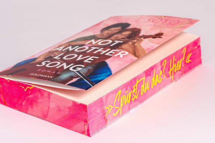 Image du produit Not Another Love Song (Allemand, Julie Soto, 2024)