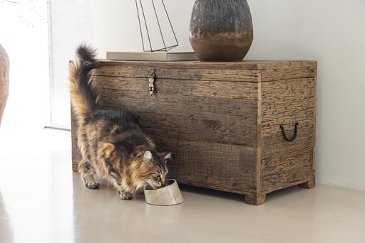 Immagine prodotto Designed by Lotte Ciotola in melamina Cat Vita (0.16 l)