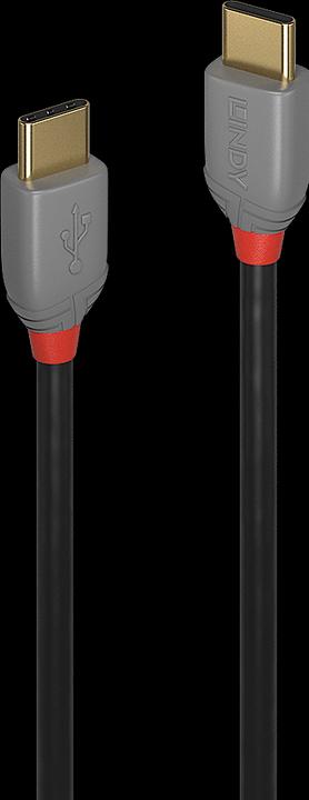 Actual product image Lindy Anthra Line (0.50 m, USB 2.0)