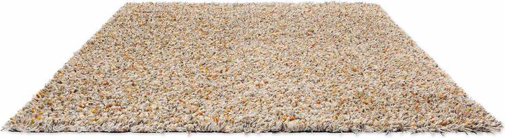 Image du produit Brink & Campman Spring (250 x 350 cm)