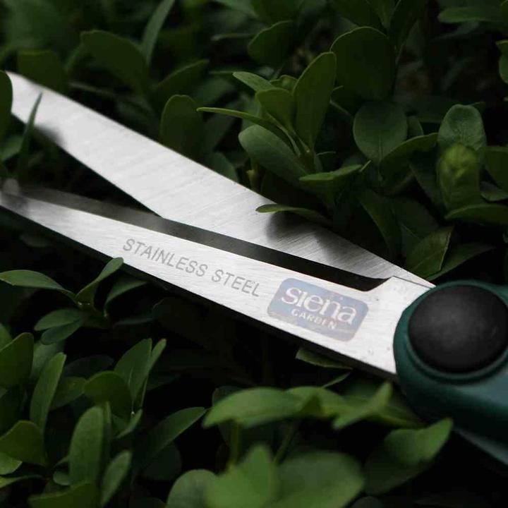 Produktbild Siena Garden Siena Formschnittschere CB2100 Länge: 27 cm, mit Softgrip