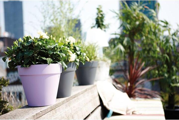 Actual product image Elho Loft Urban (19.30 cm)