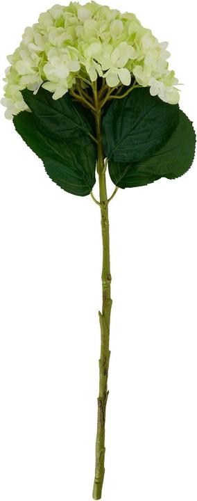 Produktbild Hill Interiors Kunstblume (73 cm)